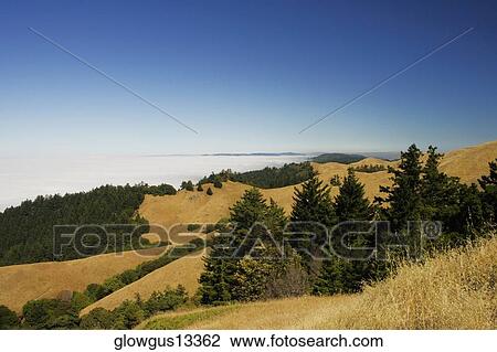 High angle view of a cloudscape View Large Photo Image Stock Image - High angle view of a cloudscape. Fotosearch