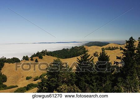 High angle view of a cloudscape View Large Photo Image Stock Image - High angle view of a cloudscape. Fotosearch