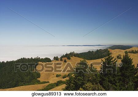 High angle view of a cloudscape View Large Photo Image Stock Image - High angle view of a cloudscape. Fotosearch