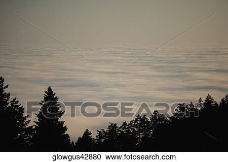 High angle view of a hill surrounded by clouds View Large Photo Image Stock Image - High angle view of a hill surrounded by clouds. Fotosearch