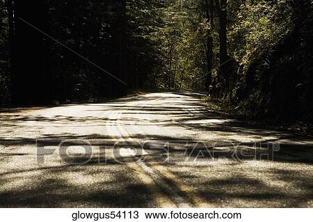 High angle view of a road in the wilderness View Large Photo Image Stock Image - High angle view of a road in the wilderness. Fotosearch