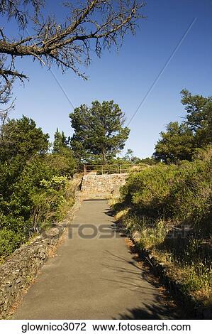 High angle view of a road in the wilderness View Large Photo Image Stock Image - High angle view of a road in the wilderness. Fotosearch