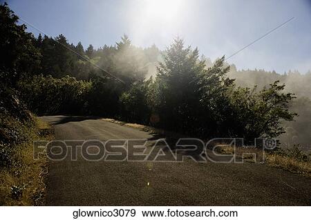 High angle view of a road in the wilderness View Large Photo Image Stock Photo - High angle view of a road in the wilderness. Fotosearch