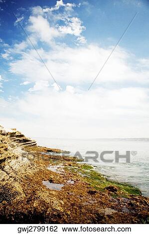 High angle view of a rock formation in the sea, La Jolla Reefs, San Diego Bay, California, USA View Large Photo Image Stock Image - High angle view of a rock formation in the sea, La Jolla Reefs, San Diego Bay, California, USA. Fotosearch