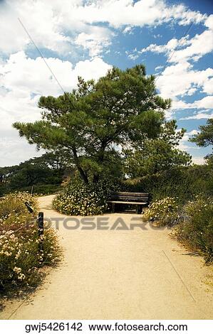 High angle view of a trail in Torrey Pines State Reserve, San Diego, California, USA View Large Photo Image Stock Image - High angle view of a trail in Torrey Pines State Reserve, San Diego, California, USA. Fotosearch