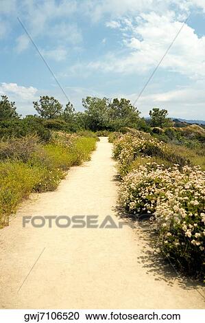 High angle view of a trail in Torrey Pines State Reserve, San Diego, California, USA View Large Photo Image Stock Image - High angle view of a trail in Torrey Pines State Reserve, San Diego, California, USA. Fotosearch