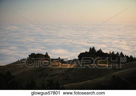 High angle view of clouds around a hill, Mt. Tamalpais State Park, California, USA View Large Photo Image Stock Image - High angle view of clouds around a hill, Mt. Tamalpais State Park, California, USA. Fotosearch
