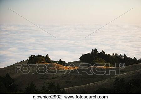 High angle view of clouds around a hill, Mt. Tamalpais State Park, California, USA View Large Photo Image Stock Image - High angle view of clouds around a hill, Mt. Tamalpais State Park, California, USA. Fotosearch