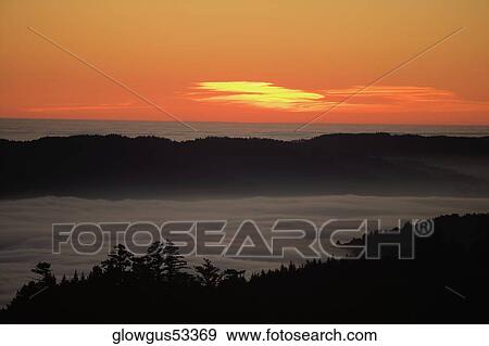 High angle view of clouds around a hill, Mt. Tamalpais State Park, California, USA View Large Photo Image Stock Photo - High angle view of clouds around a hill, Mt. Tamalpais State Park, California, USA. Fotosearch