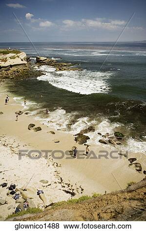 High angle view of people on the beach, La Jolla Reefs, San Diego, California, USA View Large Photo Image Stock Photo - High angle view of people on the beach, La Jolla Reefs, San Diego, California, USA. Fotosearch