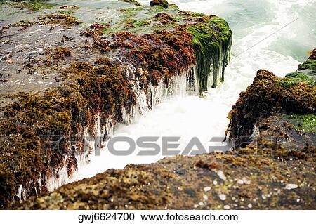 High angle view of water flowing over a rock formation, La Jolla Reefs, San Diego Bay, California, USA View Large Photo Image Stock Image - High angle view of water flowing over a rock formation, La Jolla Reefs, San Diego Bay, California, USA. Fotosearch