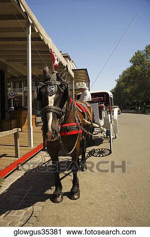 Horse cart on a street View Large Photo Image Stock Image - Horse cart on a street. Fotosearch