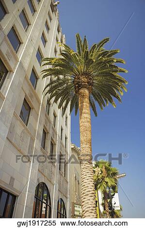 Low angle view of a building, Hollywood First National Building, Hollywood, Los Angeles, California, USA View Large Photo Image Stock Photography - Low angle view of a building, Hollywood First National Building, Hollywood, Los Angeles, California, USA. Fotosearch