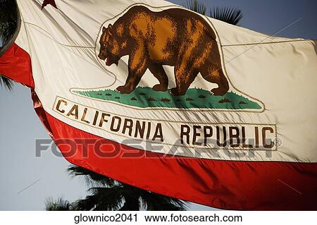 Low angle view of a California Republic flag View Large Photo Image Stock Image - Low angle view of a California Republic flag. Fotosearch