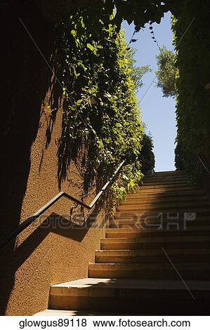 Stock Photo - Low angle view of a staircase. Fotosearch