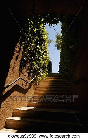 Low angle view of a staircase View Large Photo Image Stock Photo - Low angle view of a staircase. Fotosearch