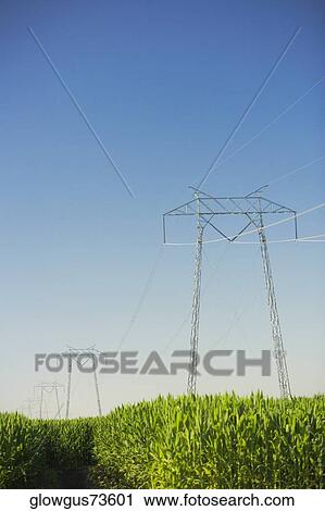 Low angle view of an electricity pylon in a farm View Large Photo Image Stock Image - Low angle view of an electricity pylon in a farm. Fotosearch