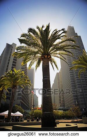 Low angle view of an office building in a city, San Francisco, California, USA View Large Photo Image Stock Image - Low angle view of an office building in a city, San Francisco, California, USA. Fotosearch