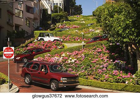 Low angle view of Lombard Street, San Francisco, California, USA View Large Photo Image Stock Image - Low angle view of Lombard Street, San Francisco, California, USA. Fotosearch