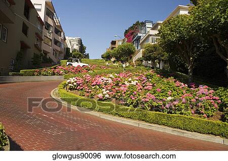 Low angle view of Lombard Street, San Francisco, California, USA View Large Photo Image Stock Photograph - Low angle view of Lombard Street, San Francisco, California, USA. Fotosearch