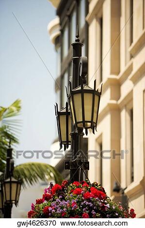 Ornate street light on a street, Rodeo Drive, Los Angeles, California, USA View Large Photo Image Stock Image - Ornate street light on a street, Rodeo Drive, Los Angeles, California, USA. Fotosearch