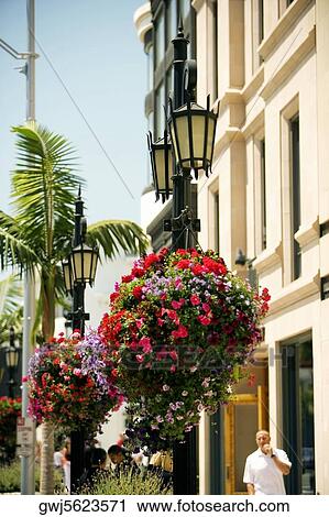 Ornate street light on a street, Rodeo Drive, Los Angeles, California, USA View Large Photo Image Stock Image - Ornate street light on a street, Rodeo Drive, Los Angeles, California, USA. Fotosearch
