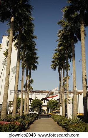 Palm trees outside a station, Union Station, Los Angeles, California, USA View Large Photo Image Stock Image - Palm trees outside a station, Union Station, Los Angeles, California, USA. Fotosearch