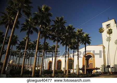 Palm trees outside a station, Union Station, Los Angeles, California, USA View Large Photo Image Stock Photo - Palm trees outside a station, Union Station, Los Angeles, California, USA. Fotosearch