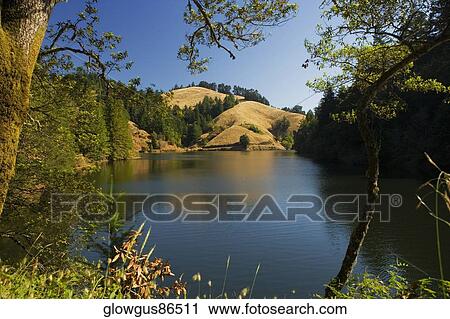 Panoramic view of a lake, Mt. Tamalpais State Park, California, USA View Large Photo Image Stock Image - Panoramic view of a lake, Mt. Tamalpais State Park, California, USA. Fotosearch