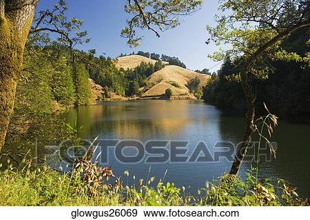 Panoramic view of a lake, Mt. Tamalpais State Park, California, USA View Large Photo Image Stock Photo - Panoramic view of a lake, Mt. Tamalpais State Park, California, USA. Fotosearch