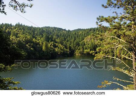 Panoramic view of a lake, Mt. Tamalpais State Park, California, USA View Large Photo Image Stock Photograph - Panoramic view of a lake, Mt. Tamalpais State Park, California, USA. Fotosearch