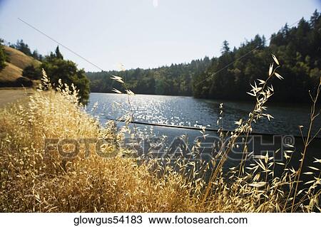 Stock Image - Panoramic view of a lake. Fotosearch