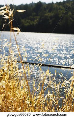 Stock Image - Panoramic view of a lake. Fotosearch