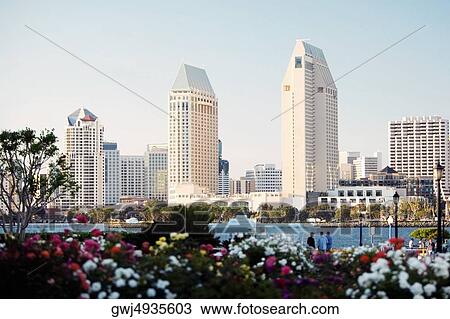 Panoramic view of downtown San Diego from Coronado Island, San Diego, California, USA View Large Photo Image Stock Image - Panoramic view of downtown San Diego from Coronado Island, San Diego, California, USA. Fotosearch