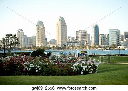 Panoramic view of downtown San Diego from Coronado Island, San Diego, California, USA View Large Photo Image Stock Photograph - Panoramic view of downtown San Diego from Coronado Island, San Diego, California, USA. Fotosearch