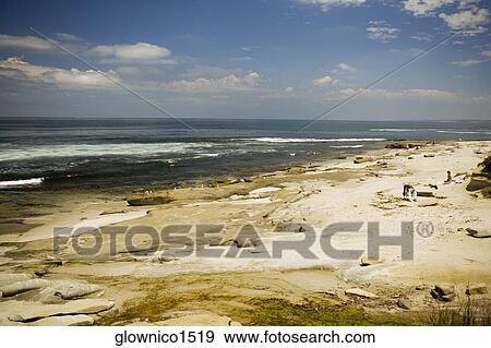 Panoramic view of reefs, La Jolla reefs, San Diego, California, USA View Large Photo Image Stock Photo - Panoramic view of reefs, La Jolla reefs, San Diego, California, USA. Fotosearch