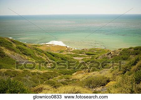 Panoramic view of the Pacific Ocean, California, USA View Large Photo Image Stock Image - Panoramic view of the Pacific Ocean, California, USA. Fotosearch