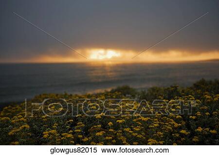 Stock Photography - Panoramic view of the Pacific Ocean. Fotosearch
