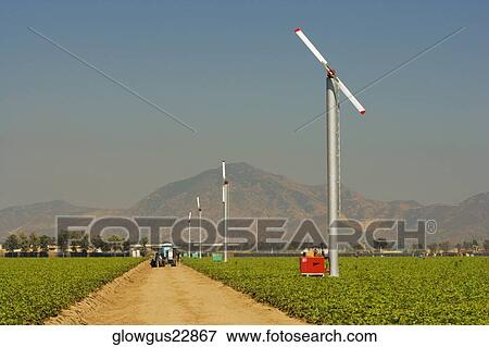 Path running through a farm View Large Photo Image Stock Photo - Path running through a farm. Fotosearch
