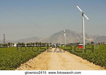 Path running through a farm View Large Photo Image Stock Photography - Path running through a farm. Fotosearch