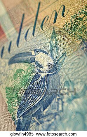 Picture of macaw on bank note, extreme close-up View Large Photo Image Stock Photography - Picture of macaw on bank note, extreme close-up. Fotosearch