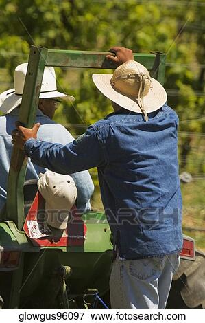 Rear view of two farmers on a tractor View Large Photo Image Stock Photo - Rear view of two farmers on a tractor. Fotosearch
