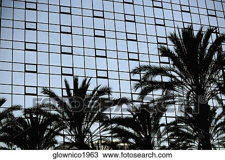 Reflection of palms trees in an office building, Los Angeles, California, USA View Large Photo Image Stock Image - Reflection of palms trees in an office building, Los Angeles, California, USA. Fotosearch
