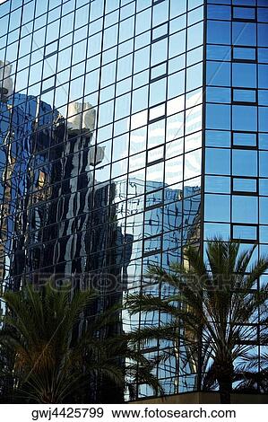 Reflection of palms trees in an office building, Los Angeles, California, USA View Large Photo Image Stock Photo - Reflection of palms trees in an office building, Los Angeles, California, USA. Fotosearch