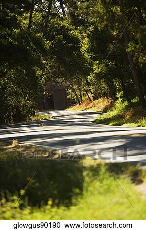Stock Image - Road passing through a forest. Fotosearch