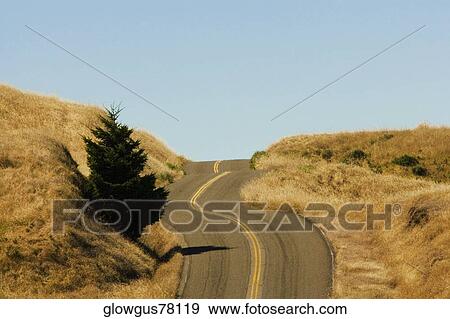 Road passing through a landscape View Large Photo Image Stock Photo - Road passing through a landscape. Fotosearch