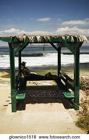 Side profile of a man and his dog watching the Pacific Ocean, La Jolla, San Diego, California, USA View Large Photo Image Stock Photo - Side profile of a man and his dog watching the Pacific Ocean, La Jolla, San Diego, California, USA. Fotosearch