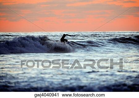 Side profile of a person surfing, San Diego, California, USA View Large Photo Image Stock Image - Side profile of a person surfing, San Diego, California, USA. Fotosearch