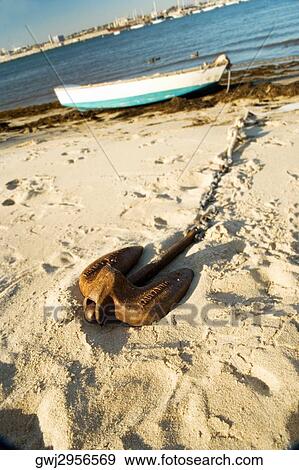 Side profile of a rowboat parked on the shore, San Diego, California, USA View Large Photo Image Stock Photo - Side profile of a rowboat parked on the shore, San Diego, California, USA. Fotosearch