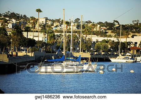 Side profile of yacht's docked at a harbor, San Diego Bay, California, USA View Large Photo Image Stock Photograph - Side profile of yacht's docked at a harbor, San Diego Bay, California, USA. Fotosearch